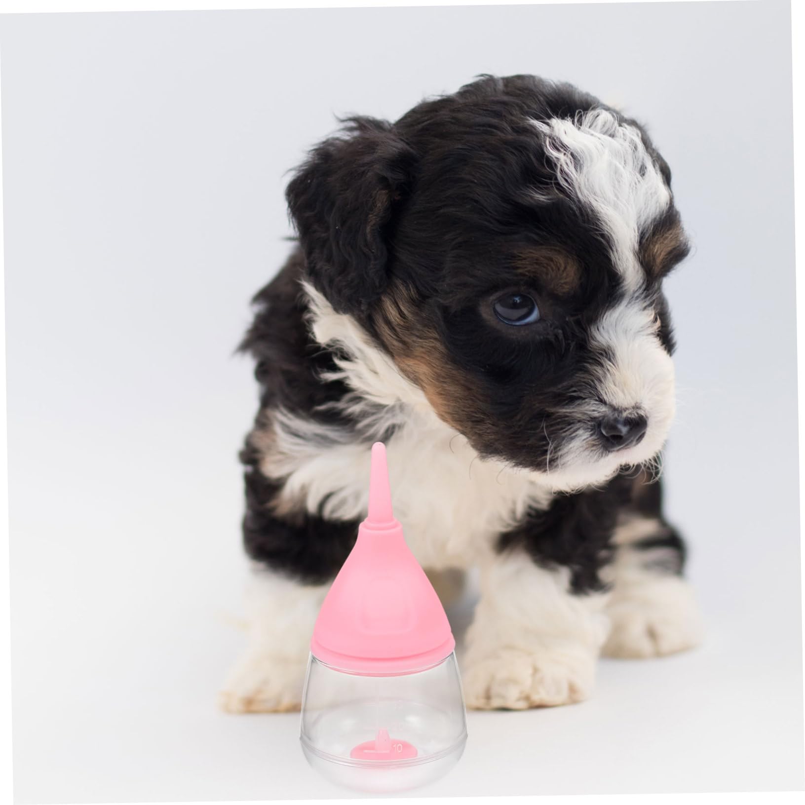 Sosoport 3pezzi Bottiglia per Allattamento per Cuccioli e Gattini Kit con Valvola Antiusura capacità Ottimale per Prevenire Sovralimentazione Materiale Sicuro e Leggero Facile da Pulire e
