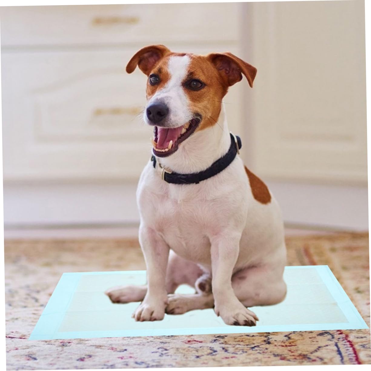 Toyvian 100pièces Alèses Jetables pour Chiens Et Chats Tapis Entraînement Ultra-absorbants Et Imperméables Parfaits pour Usage Intérieur Et Extérieur