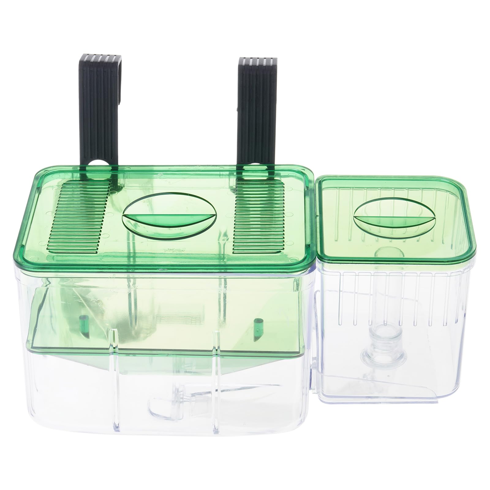 Boîte d'isolement transparente aquarium alevins crevettes ponte avec crochet suspendu