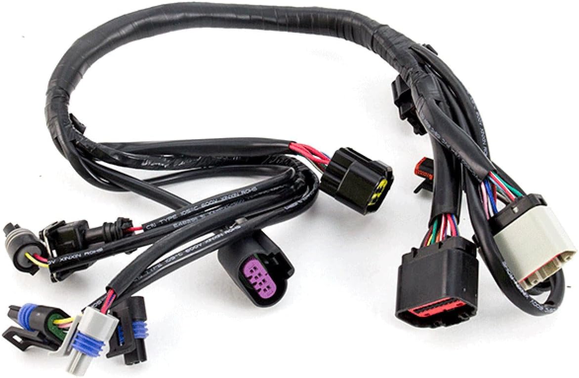 Wiring Loom - EFI System compatible with Lexmoto Riviera 125 LJ125T-V