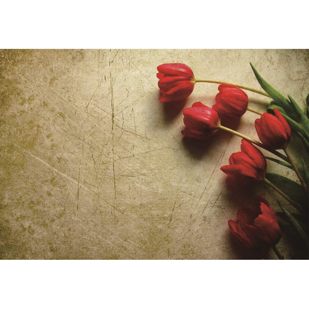 Cassisy 3x2m Vinilo Primavera Telon De Fondo Flores De Tulipanes Rojos Shabby Chic Fondo De Pantalla De Cemento Rustico Fondos Para Fotografia Party Photo Studio Props Photo Booth Amazon Es Electronica