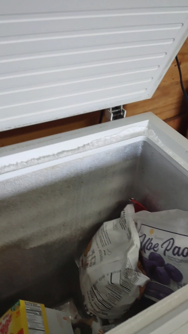 Chest Freezer Review