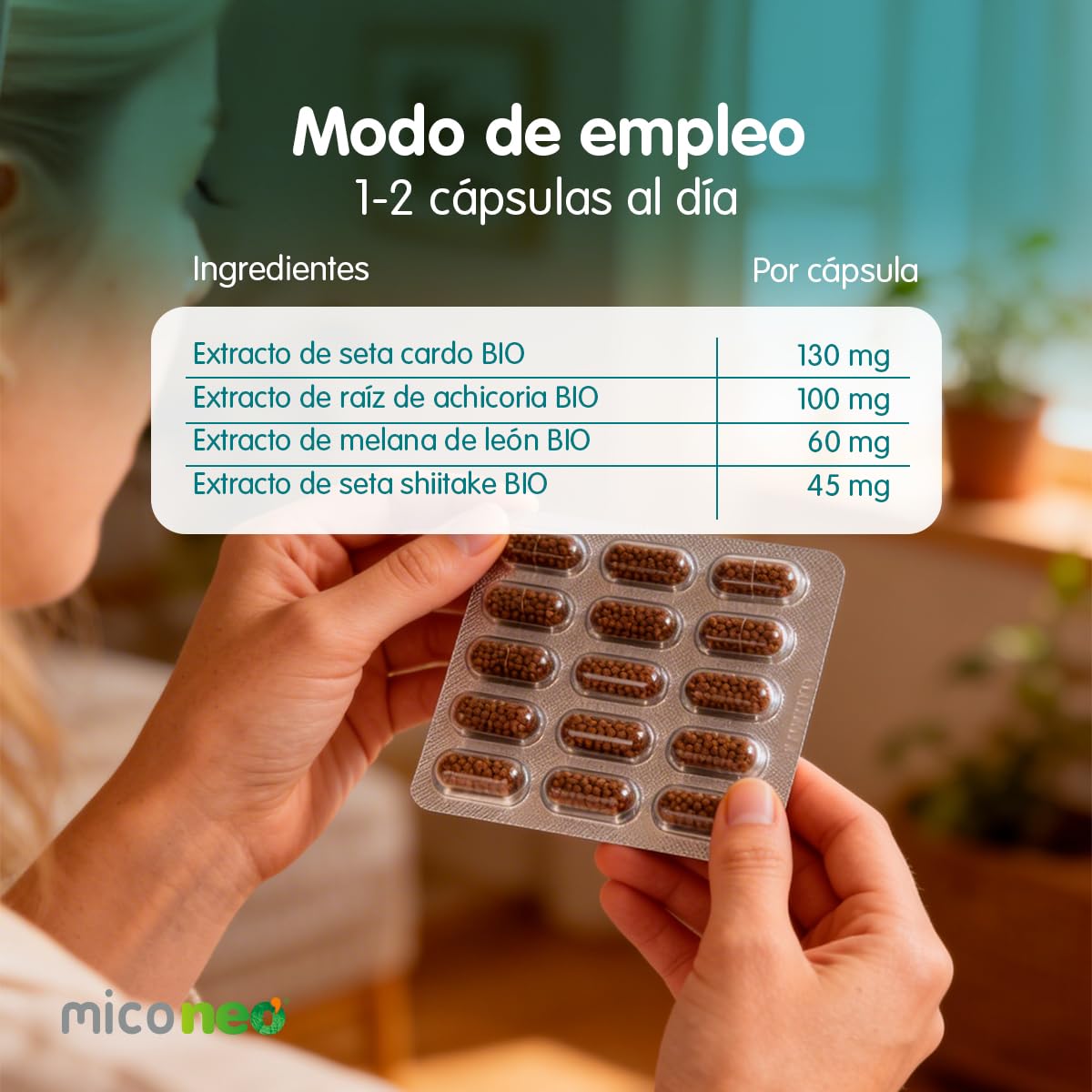 MICO NEO | INT | 60 Cápsulas | A Base de Achicoria, Shiitake, Melena de León y Seta de Cardo | Prebiótico Natural | Ayuda al Bienestar del Sistema Digestivo