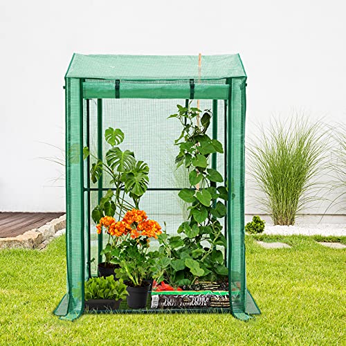 Eagle Peak Outdoor Tomato Hot House / Greenhouse With Double Roll-Up Zippered Doors, Vertical Cold Frame Grow House For Vegetables, Flowers, 39'' X 32'' X 59'', Green (Double Growbag) #TOP10