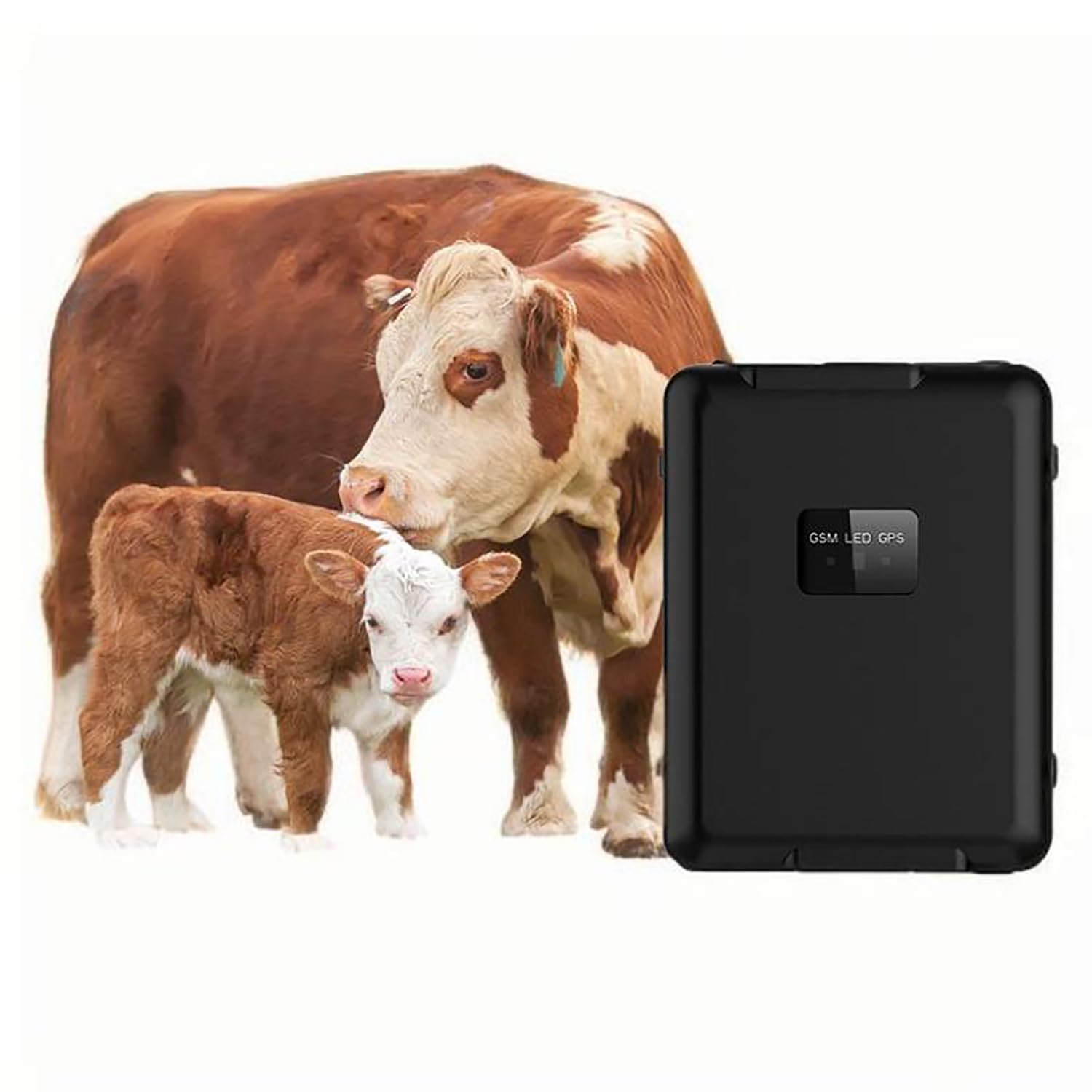4G Animal Tracker, mini solarny lokalizator GPS o pojemności baterii 30000 mAh, pozycjonowanie w czasie rzeczywistym, funkcja wirtualnego ogrodzenia i trajektorii historycznej, dla bydła/owiec/konia