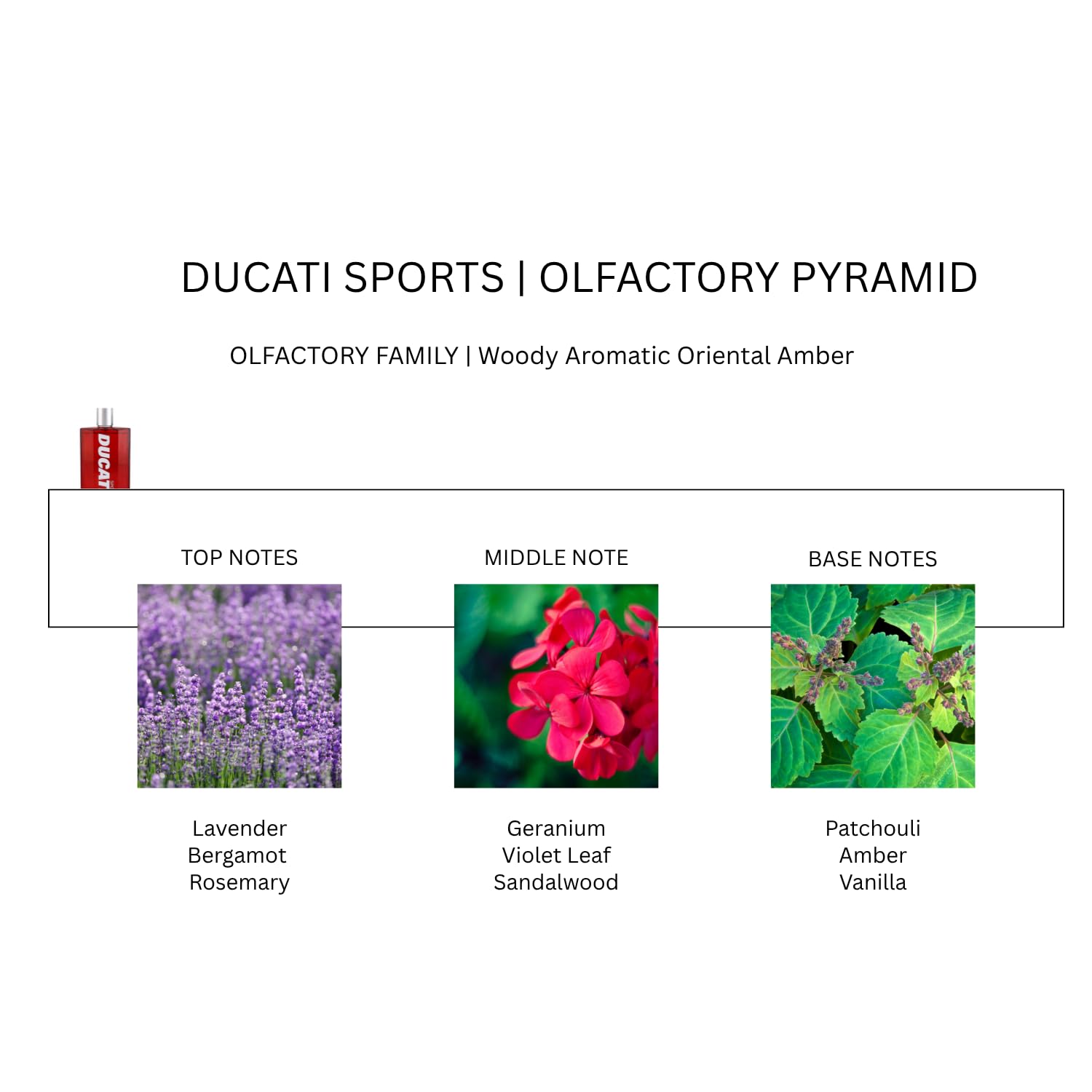 DUCATI SPORT | Set Regalo, Profumo Uomo da 100ml + Beauty Case