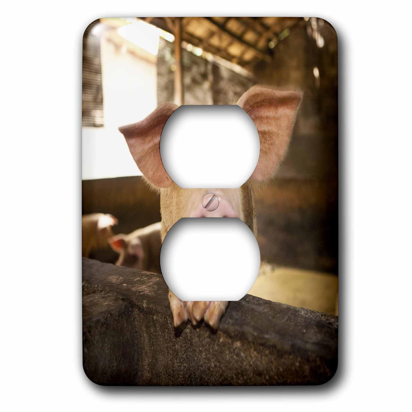 Pig Farm Bali Indonésie 3dRose LSP 71751 6 plaque interrupteur