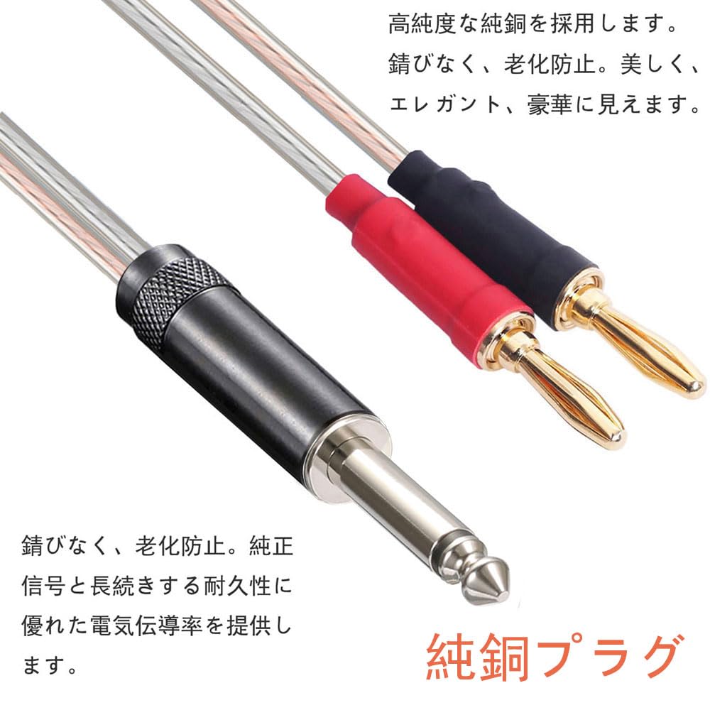 Amazon | ipovoq 6.3 mm バナナ 変換 プラグ バナナ 6.3mm 変換