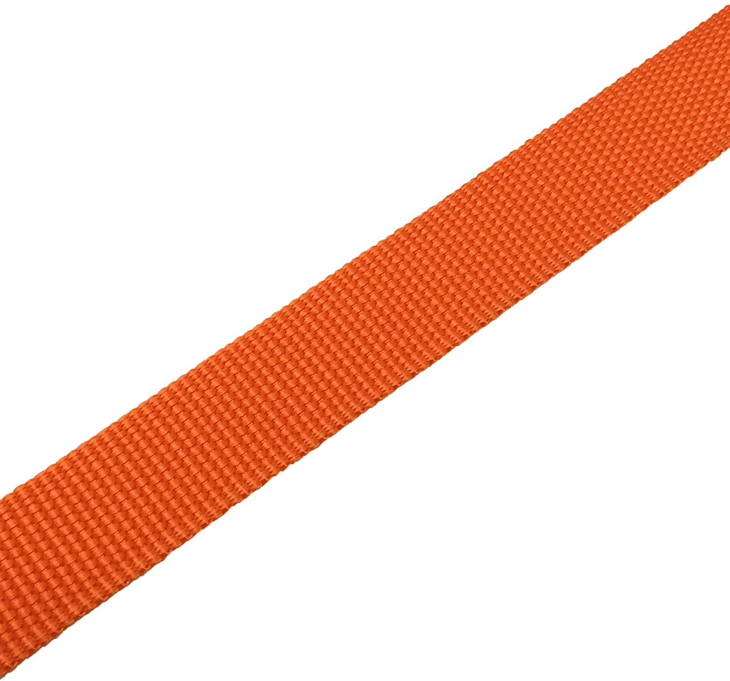 TAIAN Correa para Perros de Nailon Resistente de 1,2 m, para Perros pequeños, medianos y Grandes (1,9 cm x 1,5 m, Naranja)