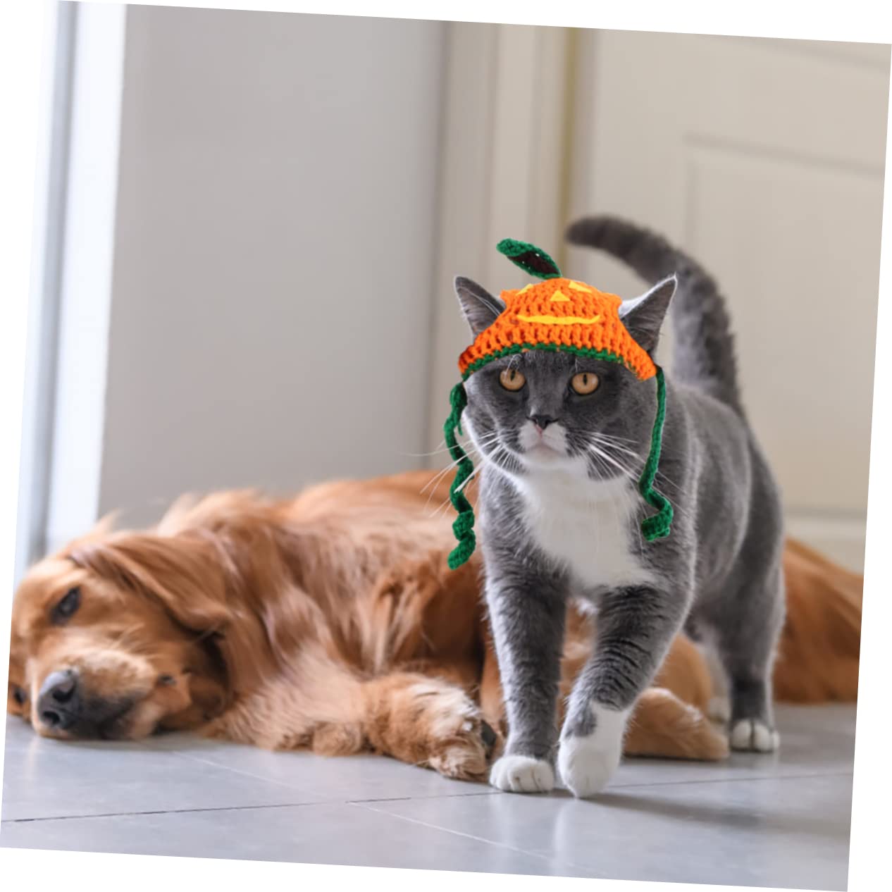 BESPORTBLE 3 Pz cappello di zucca costume da cane berretto di zucca cappello da cane abbigliamento per animali domestici mantello per animali domestici Halloween capi di abbigliamento filato
