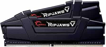 G.Skill 8GB DDR4 Memory Module 2 x 4 GB 3200 MHz at Amazon.com