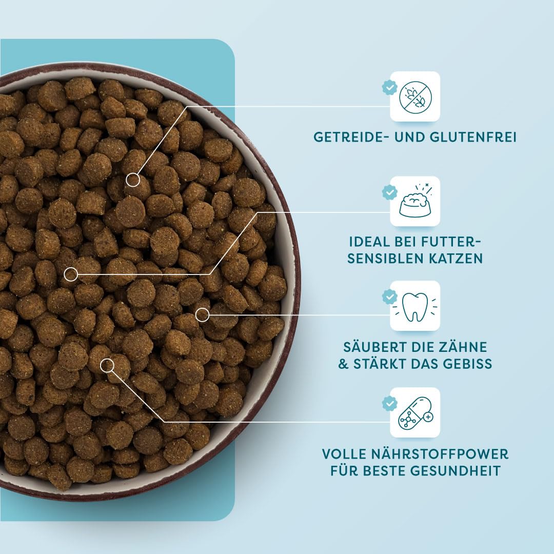 Dr. SAM Premium Trockenfutter für ausgewachsene Katzen - Lachs & Geflügel Alleinfuttermittel mit Reis und Kartoffeln fördert Zahnpflege und gesundes Fell - Gluten-& getreidefrei - Dry cat Food - 600g