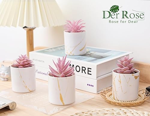 Miniatura 5 de Der Rose Paquete de 6 plantas suculentas y 4 paquetes de plantas falsas para decoración de casa de campo y oficina