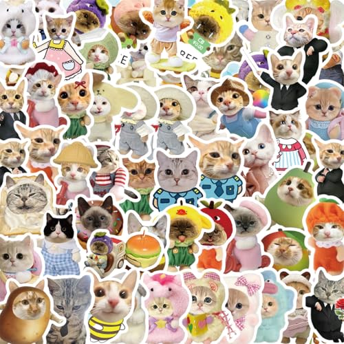 OIXEYA Lot de 62 Meme Autocollants Pour Chat, Vinyle Étanche Drôle Emoticônes Stickers Decals Pour Ordinateur Portable, iPhone, Bouteilles d'eau