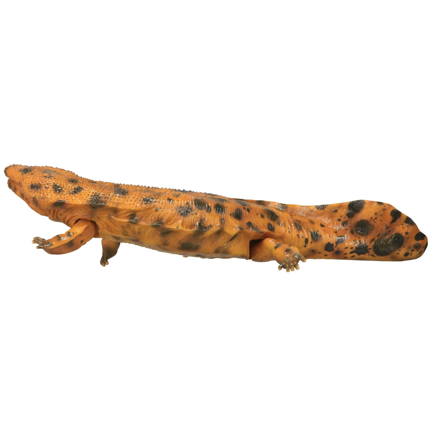 Amazon | ソフビトイボックス 010 オオサンショウウオ(明色) 大