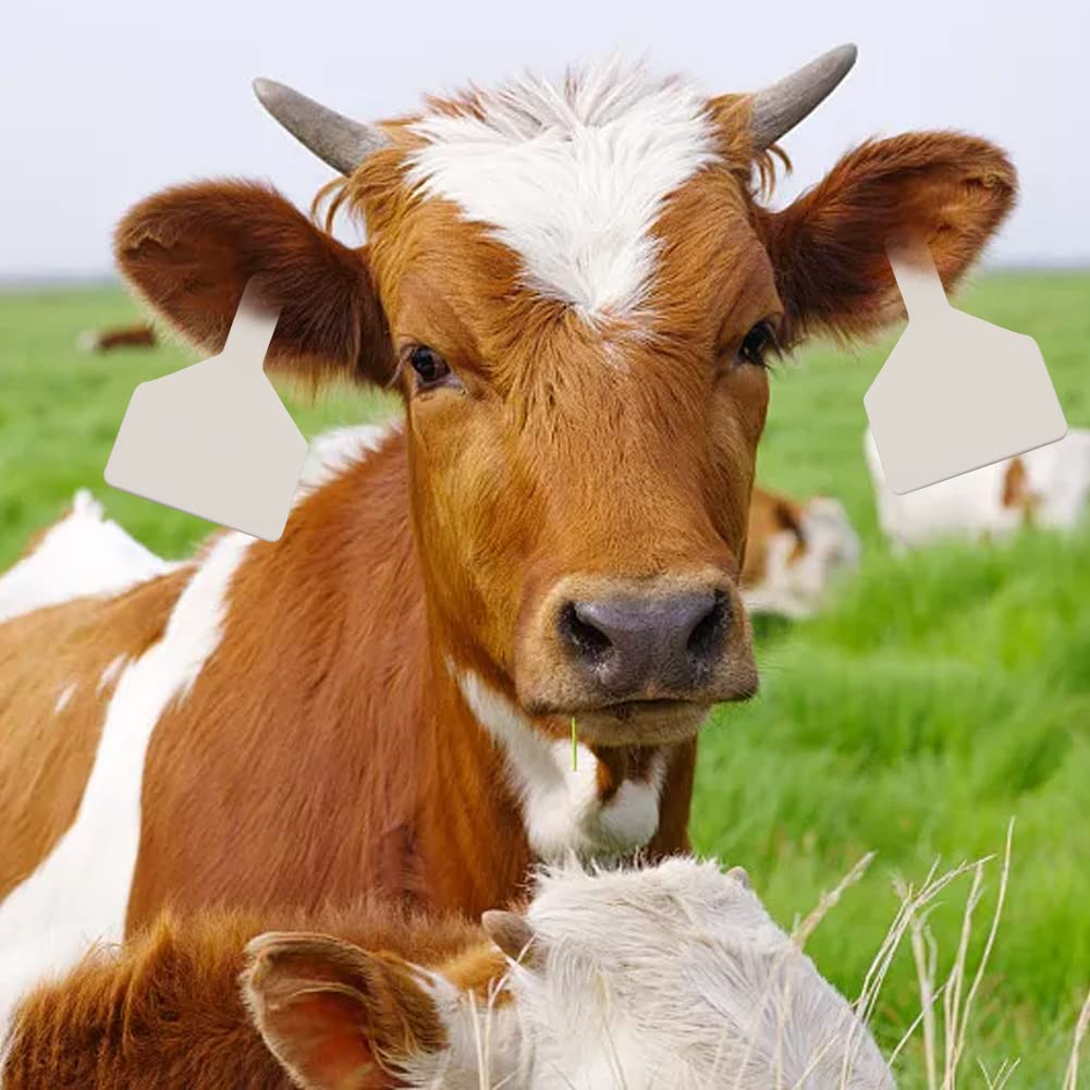 500 Stück Ohrmarken TPU Grün Für Rinder, Schweine, Schafe & Nutztiere – Groß & Sichtbar