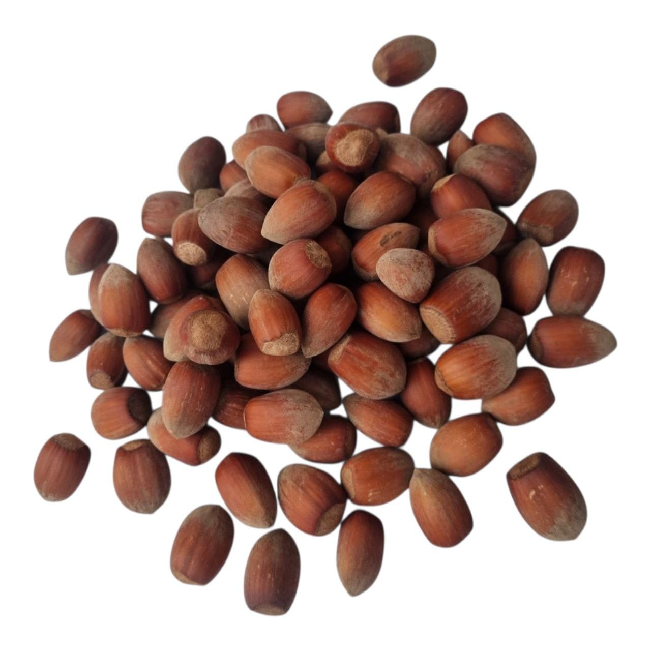 IGART FOOD & WOOD Haselnüsse Mit Schale Cosford Naturbelassen Frisch Polnische Ernte Ungeröstet Nüsse Zum Backen Müsli Und Gesunden Snack, 5kg