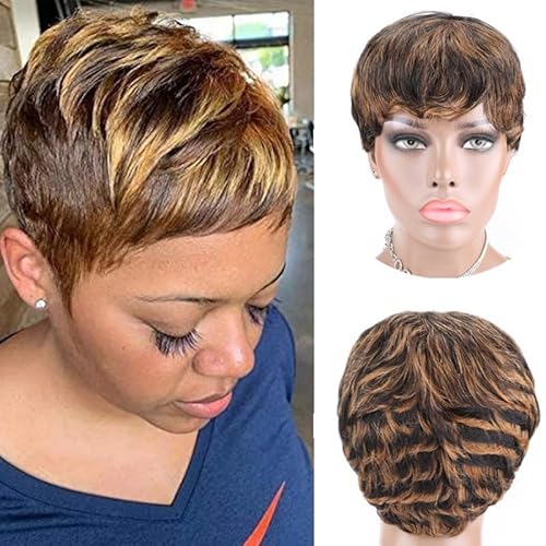 Phloxyn Short Pixie Bob with Black and brown blend, a