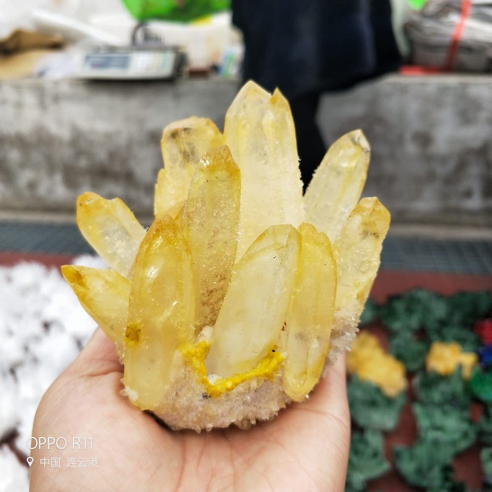 Amazon.co.jp: 原石 イエローシトリン水晶クリスタルクラスター標本