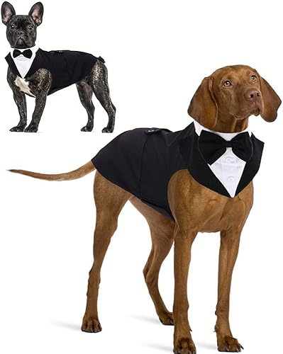 IDOMIK Dog Tuxedo for Small Medium Large Doggie, Detachable Dog Formal Wedding Suit with Tuxedo Vest & Bow Ties Collar & Bandana Scarf Set, Wedding Attire Shirt for Birthday Party Costume