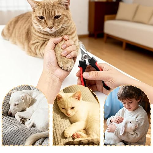 Pevlkawr Cortauñas para Perro Y Gato con Mascota Protector De Seguridad Inoxidable Mascotas Perros Accesorios Tijeras Uñas Gato Profesional Corta Uñas Perro para Perros, Gatos - imagen 6