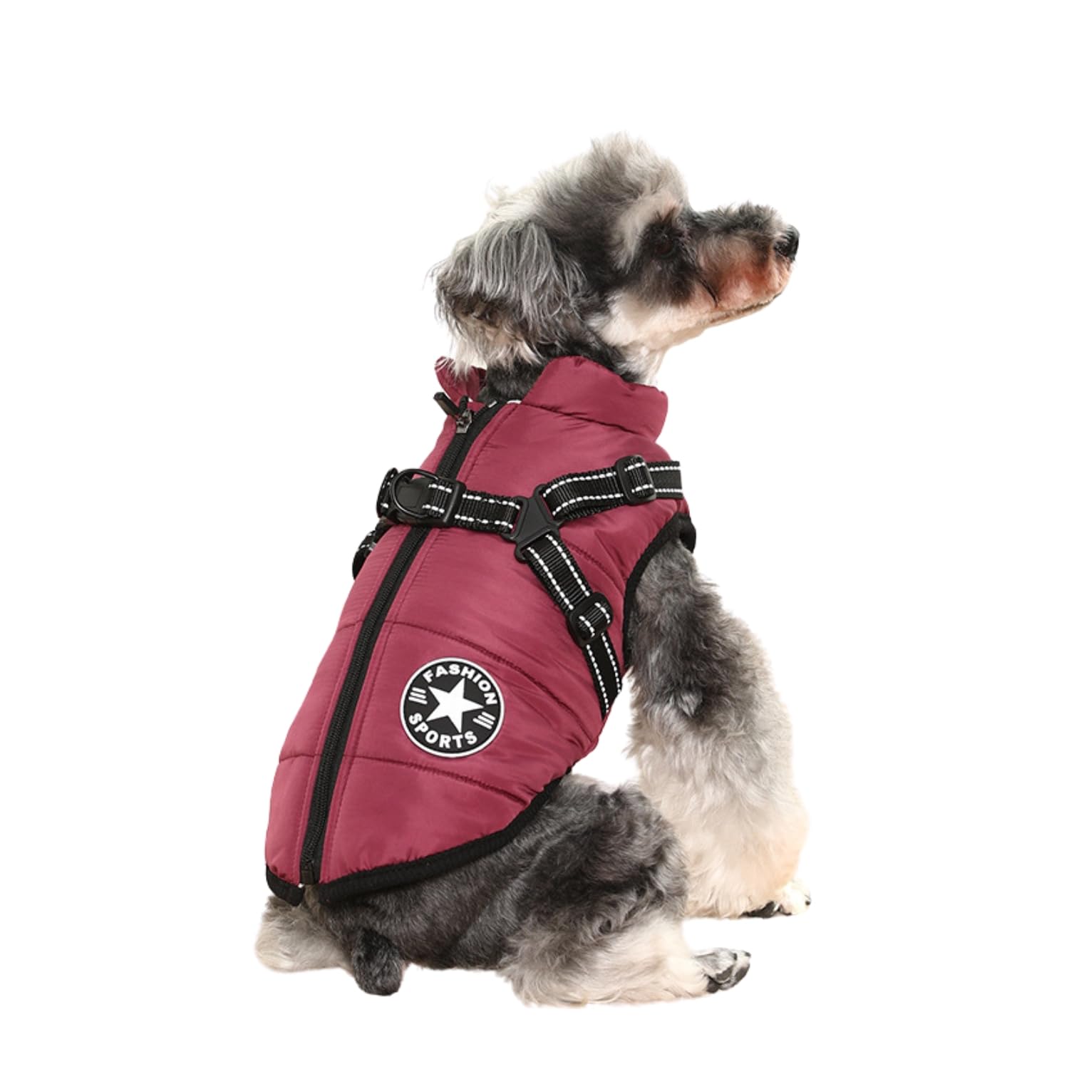 BT Bear Dogs Warm Coats, Waterproof Dog Clothes Winter Warm Vest Dog Jacket with Harness For Cats Puppy Small Dogs(Purple,M)