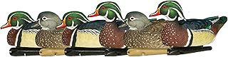 Avian X Topflight Pintail Decoys, Rugged Realistic Floating Duck Decoys for Hunting, Weight-Forward Swim Keel