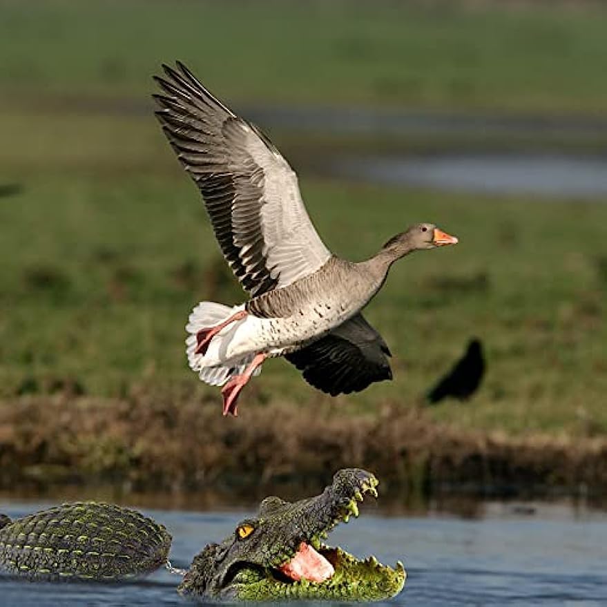 Miniatura 4 de Señuelo de cocodrilo verde, 31.5 pulgadas, cocodrilo flotante para piscina, estanque y decoración de patio al aire libre, también sirve como figura