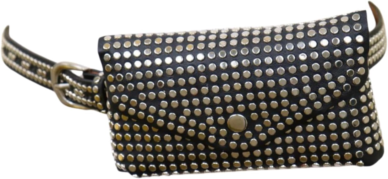 Women Fashion Skinny Belt Hip High Waist Silver Metal Studs + Mini Bag Wallet Size S M z037