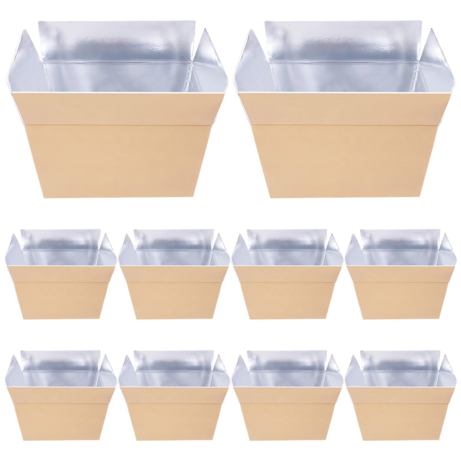 10 scatole isolate per spedizioni, 21,9 x 11,9 x 14,7 cm, in schiuma refrigerante con rivestimento in alluminio, per una comoda conservazione, ideali per prodotti, frutti di mare e composizioni