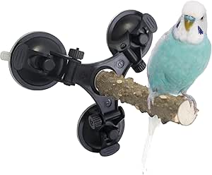 How to Make a Bird Training Perch: Easy DIY Steps for Success