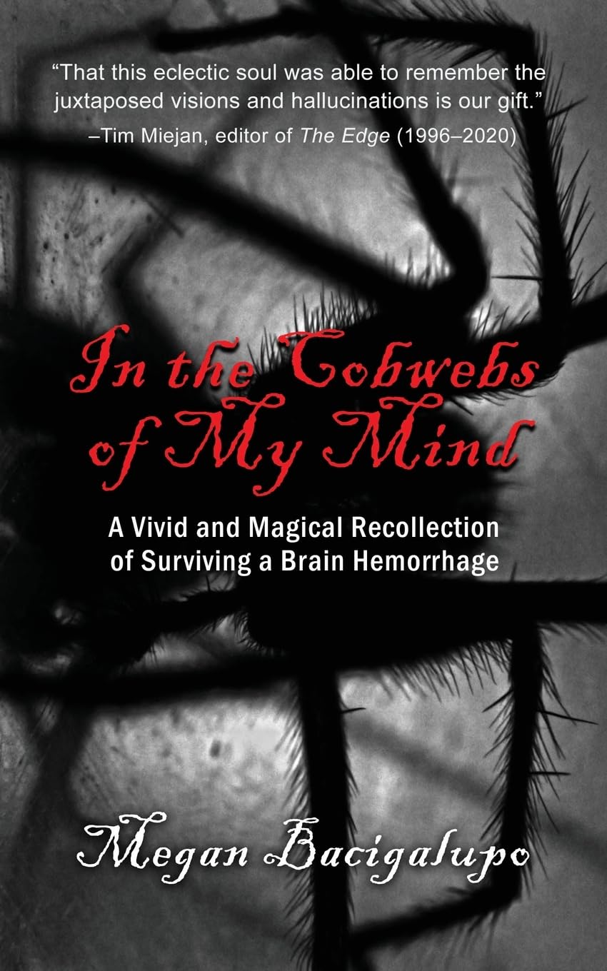 In the Cobwebs of My Mind: A Vivid and Magical Recollection of Surviving a Brain Hemorrhage