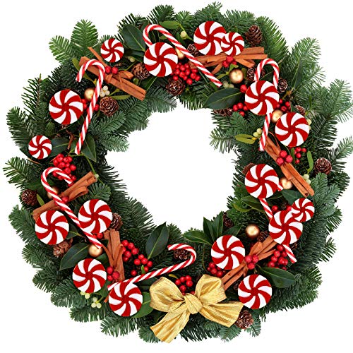 Willbond 48 Pcs Christmas Candy Canes Candy Swirl Garland Plastic Candy Decoration Tree Candy Decoration Candy Garland Ornaments With Crystal Wire For Xmas Party Christmas Home Decor (Red And White) #TOP4