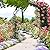 IRONMAX Garden Arch, Heavy Duty Galvanized Steel Arbor w/ 7 Sizes & Metal Flower Leaf Decoration, Outdoor Garden Trellis for Climbing Plants Rose Vines & Wedding Party Ceremony