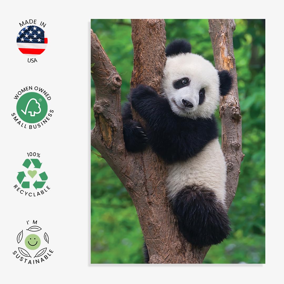 10 tarjetas de felicitación de animales surtidas para todas las ocasiones, 5 x 7 pulgadas (A7), plegadas, interior en blanco, león, caballos, cebras, delfines, pandas, koalas, osos