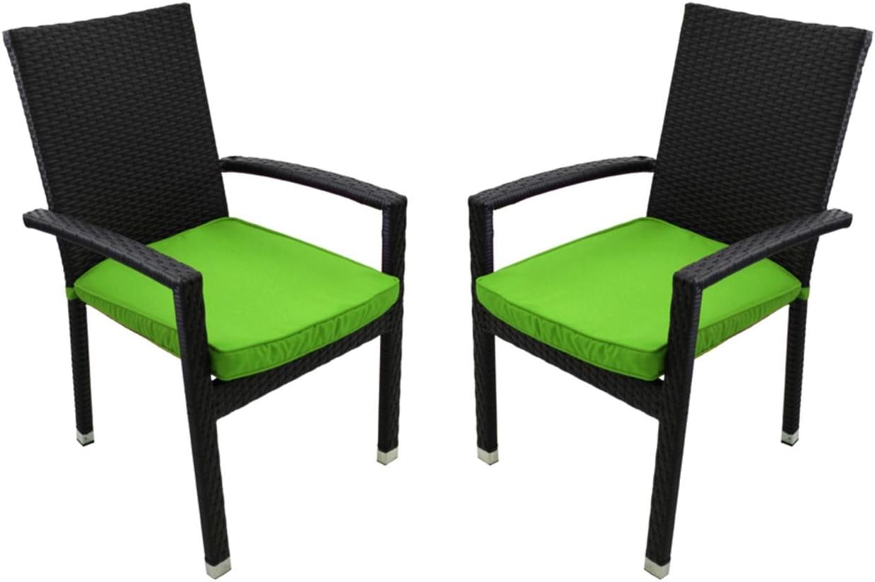 CC Outdoor Living Set of 2 Black Resin Wicker Outdoor Patio
