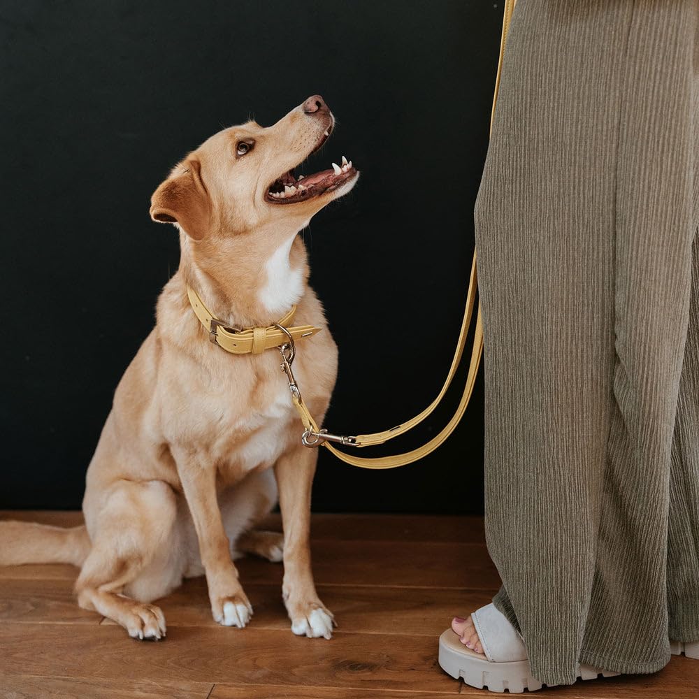 HUNTER Amalfi Dog Lead Chocolate Brown Vegan Faux Leather Nappa Look with Hand Strap Soft Easy Care Brilliant Colour Made in Germany Size: 20/100 - Image 4