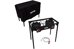 coleman matchlight 10,000 btu 2-burner propane stove