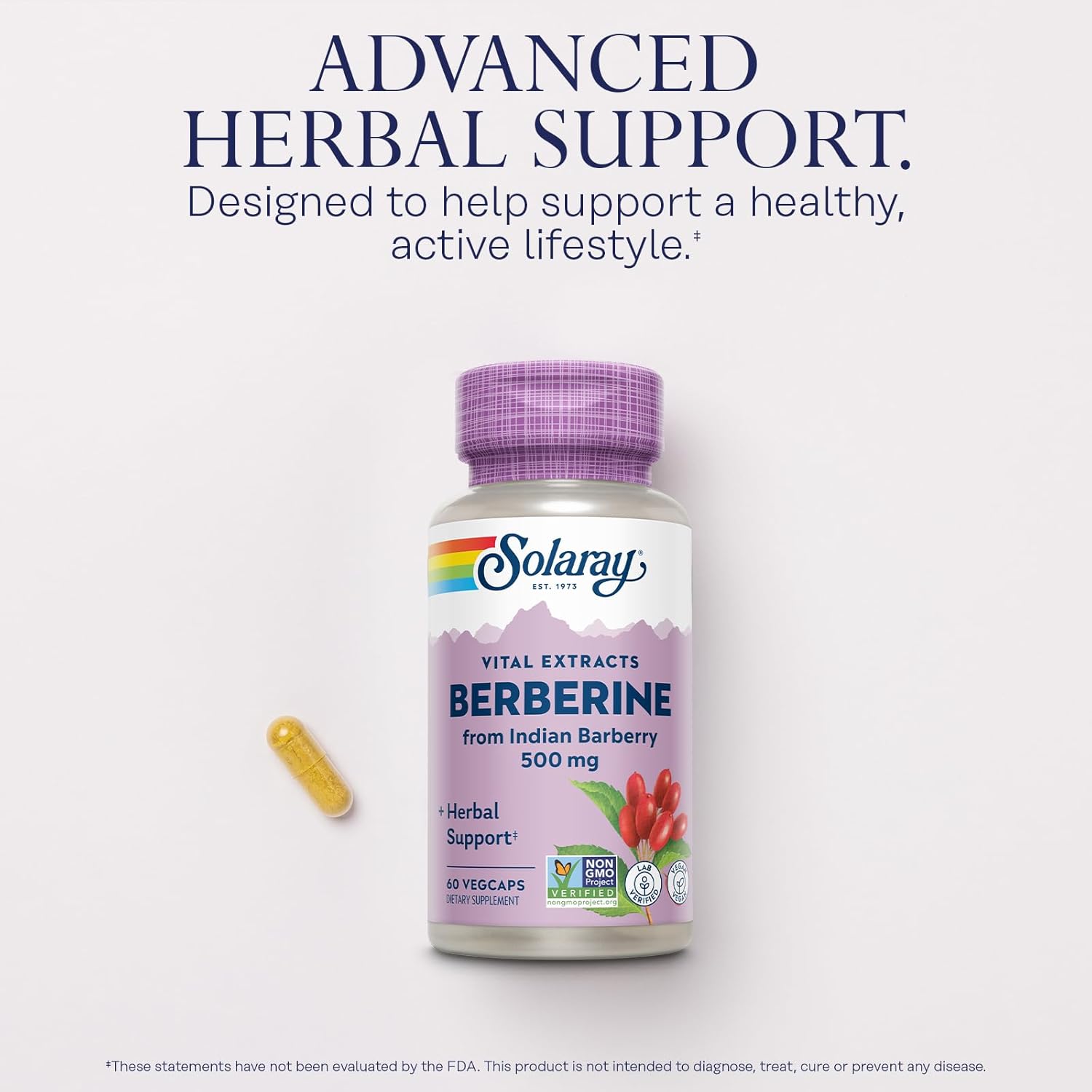 SOLARAY Berberine 500mg - Berberine Supplement for a Healthy, Active Lifestyle - with Berberine HCl from Indian Barberry - Vegan, Non-GMO, 60-Day Guarantee - 60 Servings, 60 VegCaps (60 CT) - Image 3