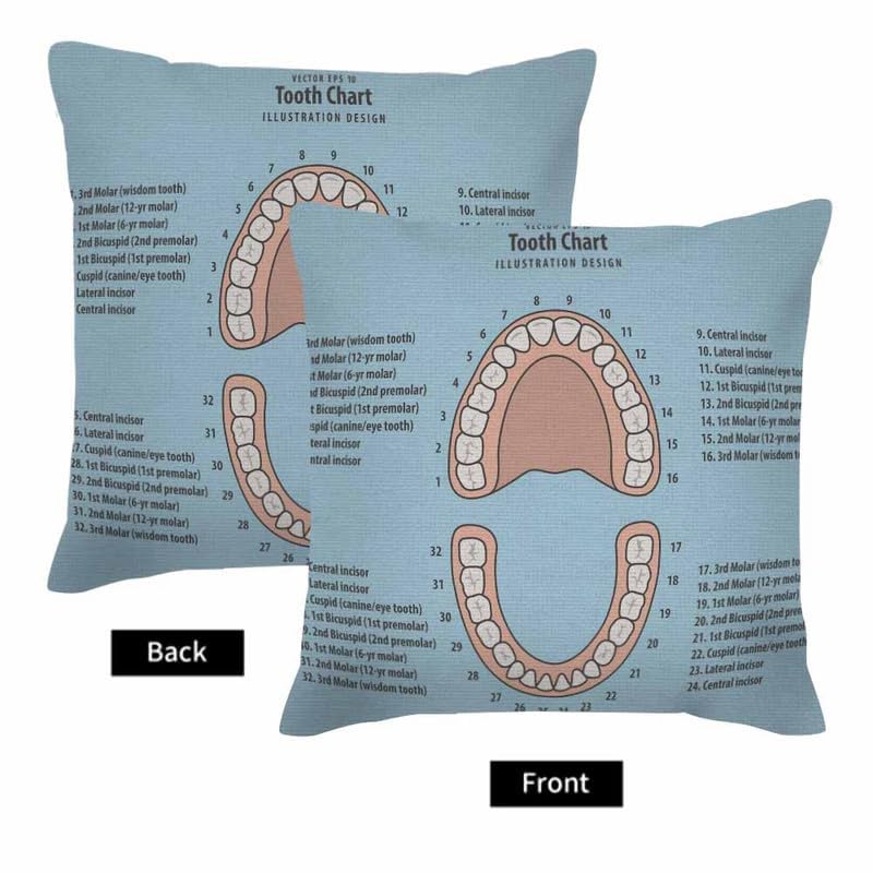 Image of Throw Pillow Covers Pink Education Tooth Chart Number Infographic on Blue Dental Human Anatomy Pillow Case 18x18 Inch Cushion Cover for Home Party