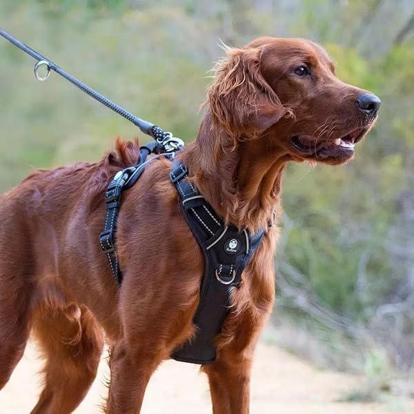 HUSKIMO Ultimate Dog Harness Dark Sky Medium