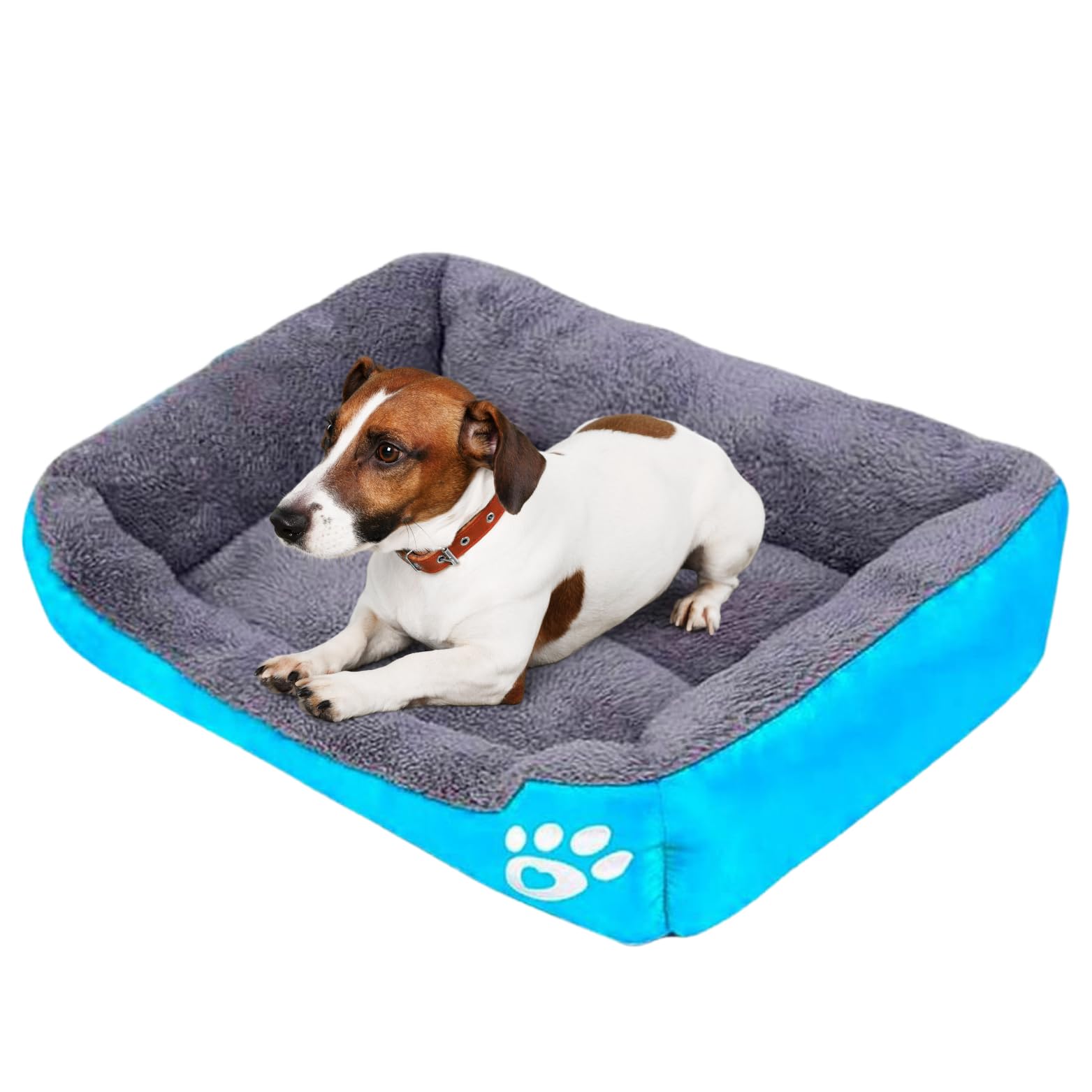 POLIPETS Dog Bed Comfortable and Soft, Design Rectangular, Padded Anti-Stress Bed for Dogs, Waterproof Fabric, Measure 21 x 15 in, for Medium Pets