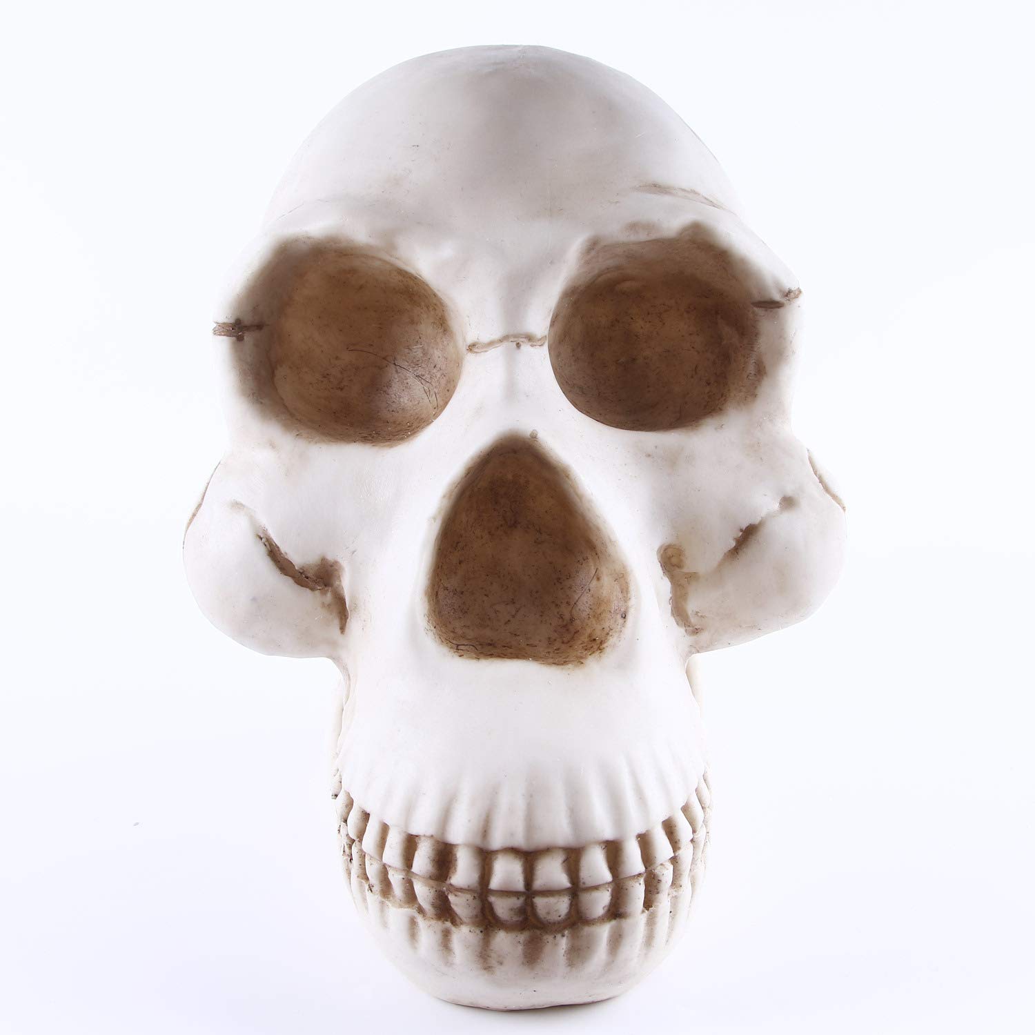 Modelo de cráneo de Gorila, Escultura de cráneo de Mono, artesanías de Cabeza de Resina, decoración del hogar de Halloween, Estatua, Escultura Artesanal, Herramienta de enseñanza médica de cráneo