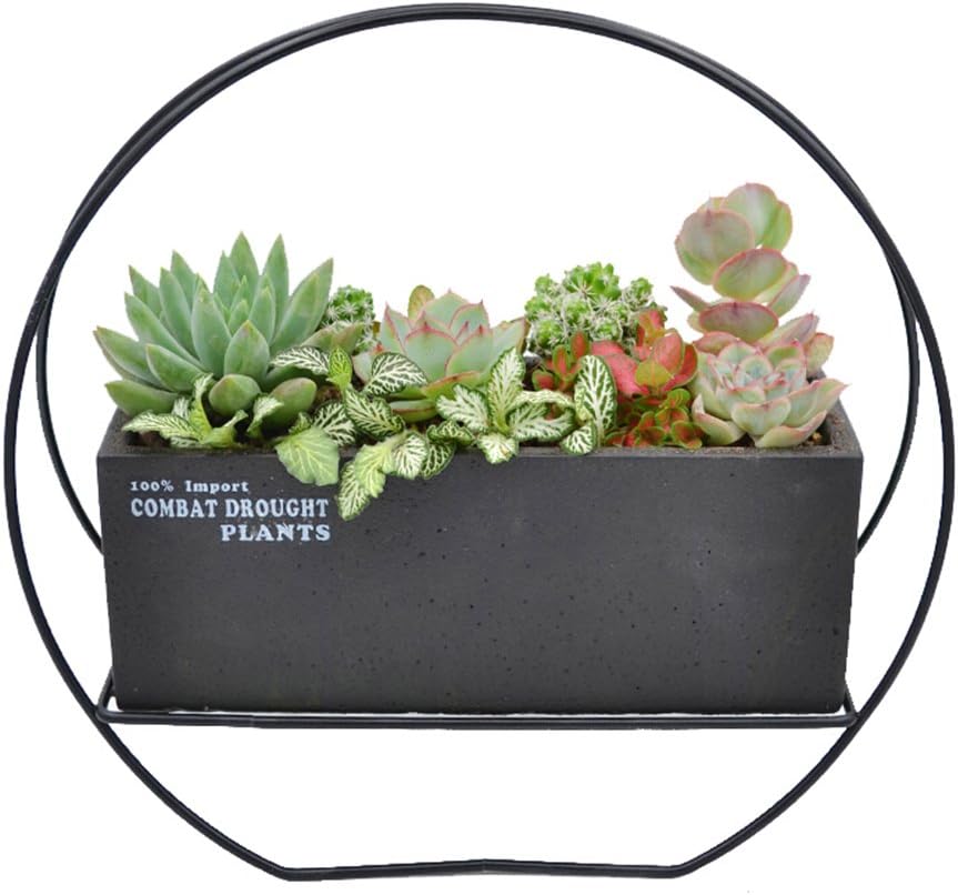 Succulent Plant Black Cement Modern Decorative Small Rectangle Succulent Plants Pot with Metal Shelf
