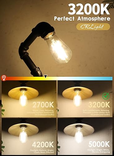 Miniatura 3 de CRLight Bombilla LED Edison regulable de 8 W, equivalente a 800 lúmenes, 3200 K, blanco suave, E26, vintage, transparente, ST64, bombillas LED de