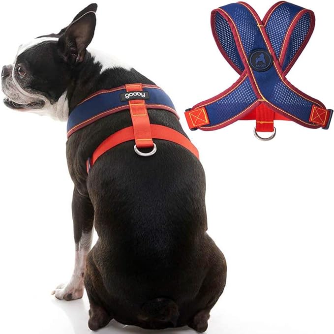 Gooby Comfort X Head in Harness V2 Small, Navy(Red) No