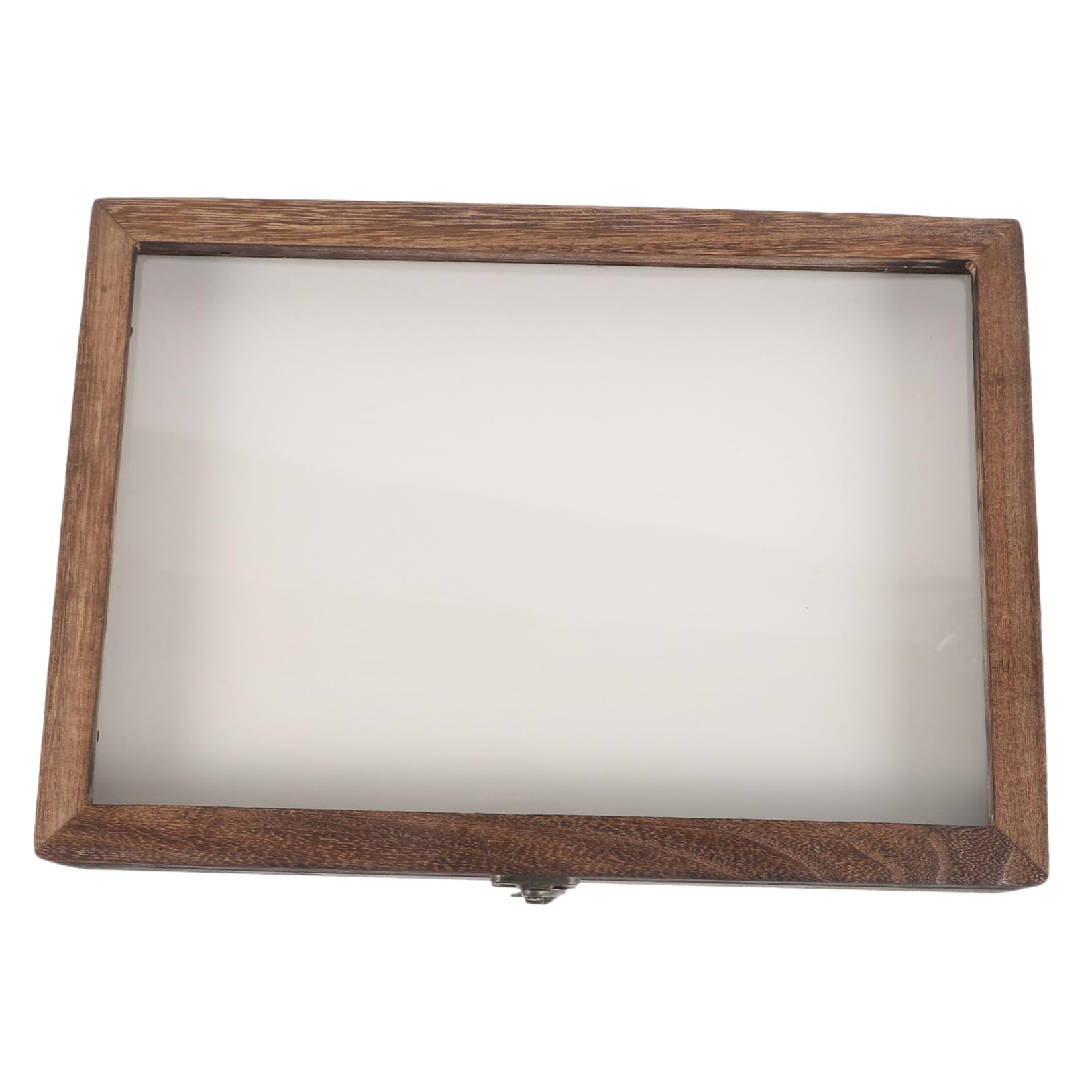 HOLIDYOYO Vintage Insect Display Box Acrylic Case for Butterfly Specimen Wall Hanging Storage Style