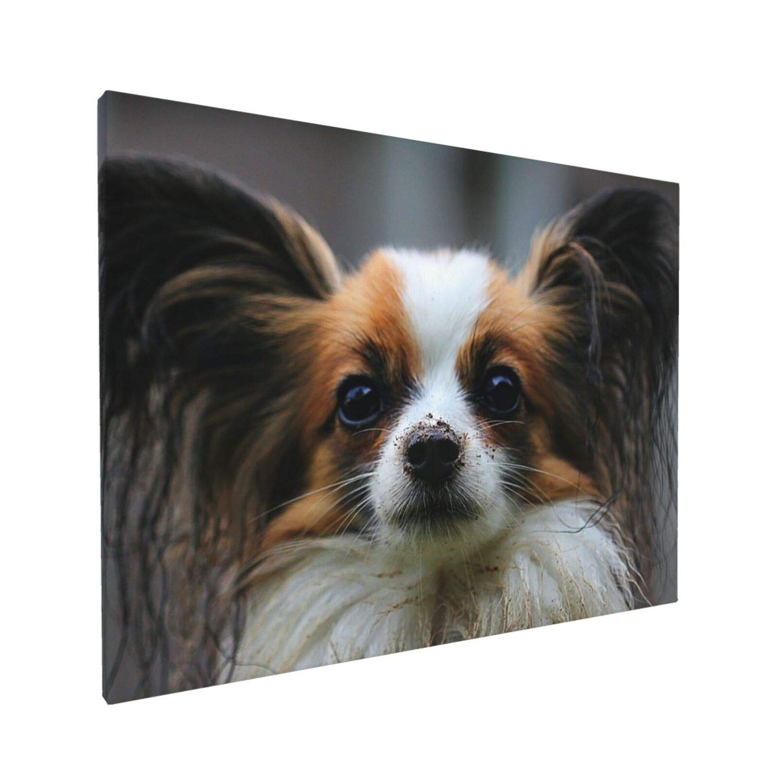 Amazon｜パピヨン かわいい犬 壁掛け 壁の絵 インテリア アート