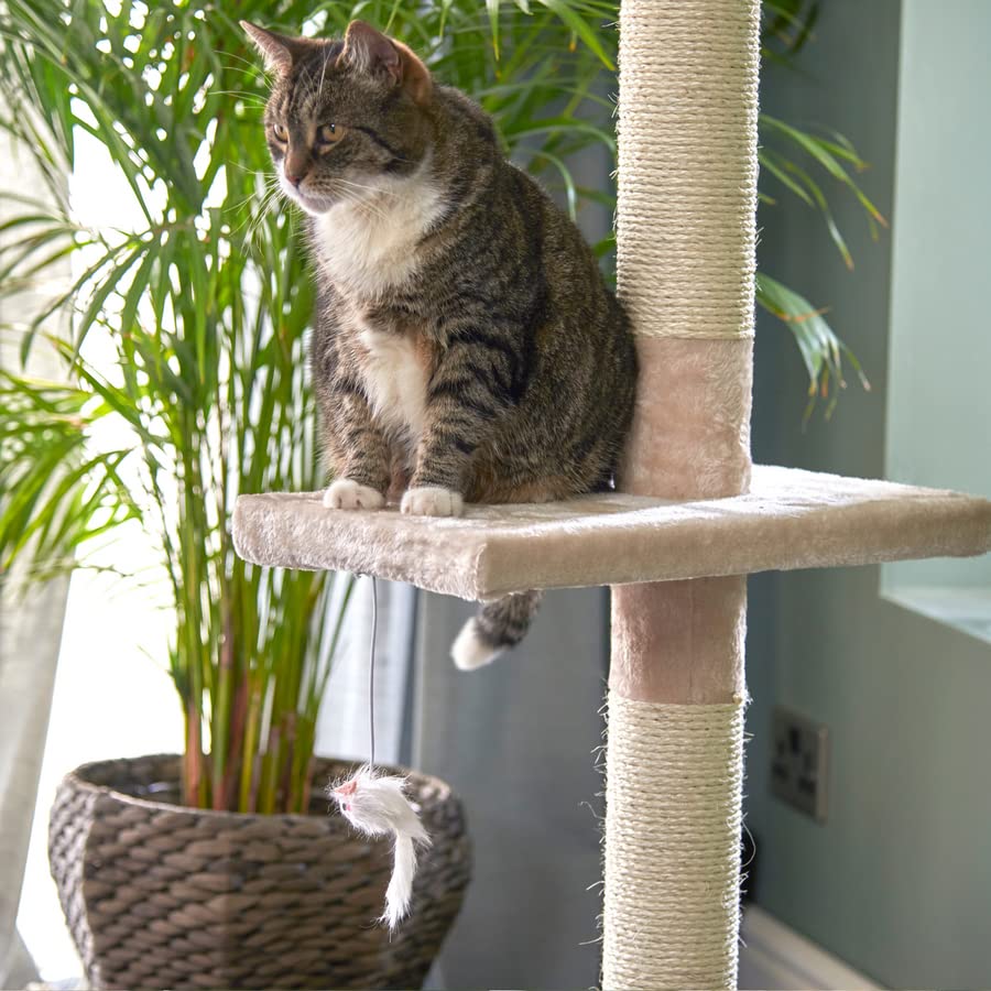 Buy Runesol Reinforced Cat Tree 240288cm Floor to Ceiling, Tall Ceiling to Floor Tower, Beige