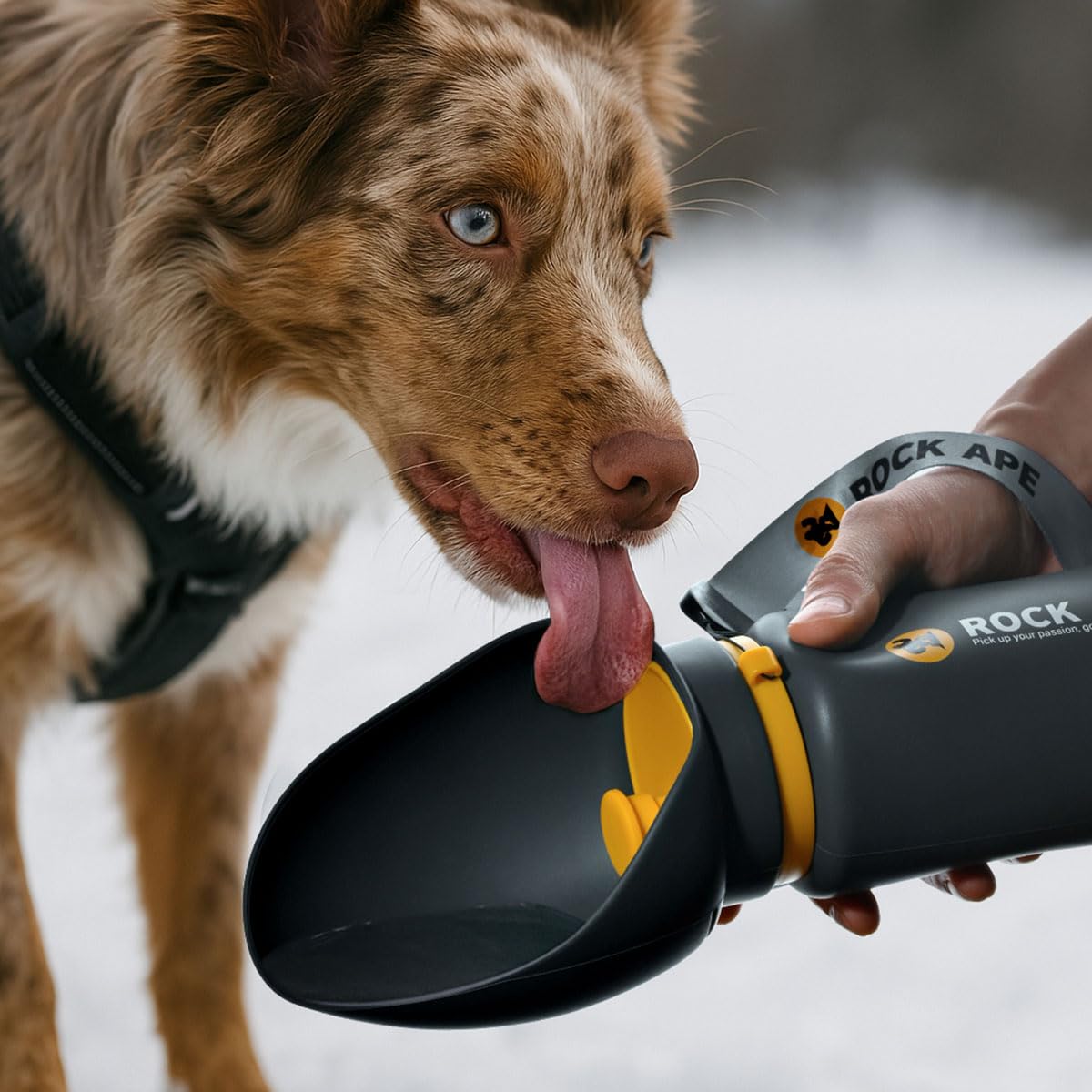 ROCK APE Botella de agua plegable de silicona para perros con cuenco, sin BPA, a prueba de fugas, operación con una sola mano, color gris
